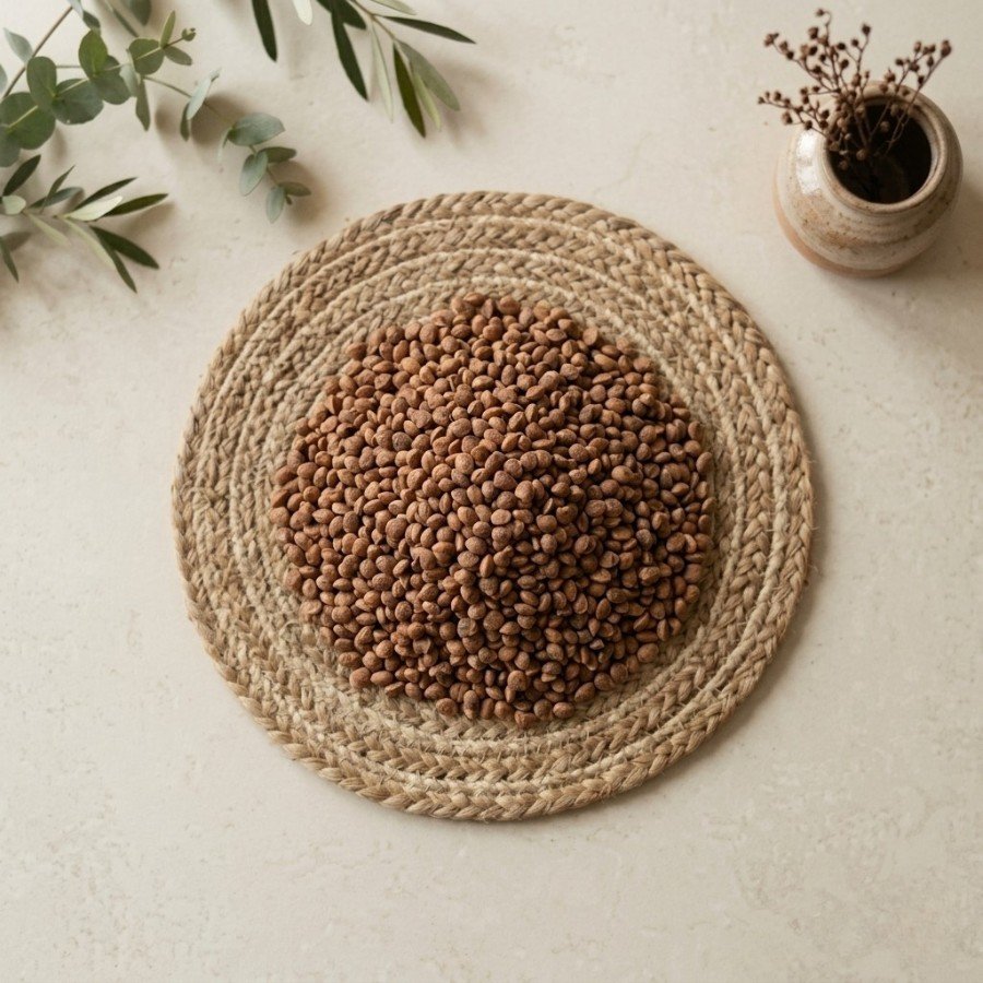 Cuddapah almond (chironji) - Image 4