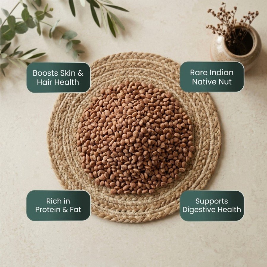Cuddapah almond (chironji) - Image 3