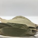 Bay Leaf