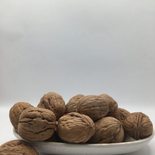 30742524 1765973633685