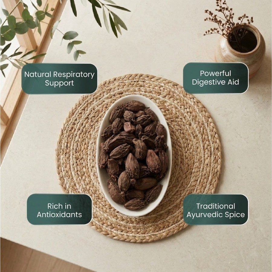 Infographic displaying health benefits of Black Cardamom pods by Oasis Dry Fruits.