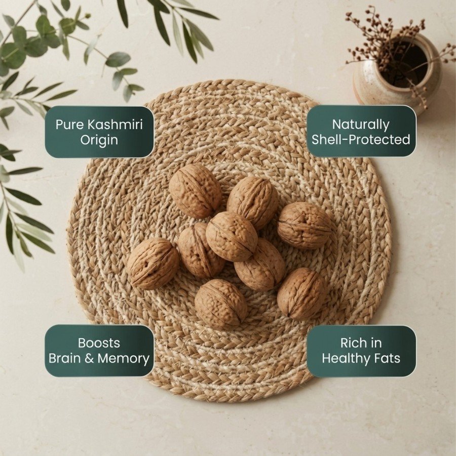 Infographic displaying health benefits of kashmiri walnut with shell by Oasis Dry Fruits.