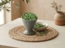 Dried Kasuri Methi served in a grey pedestal ceramic cup by Oasis Dry Fruits.
