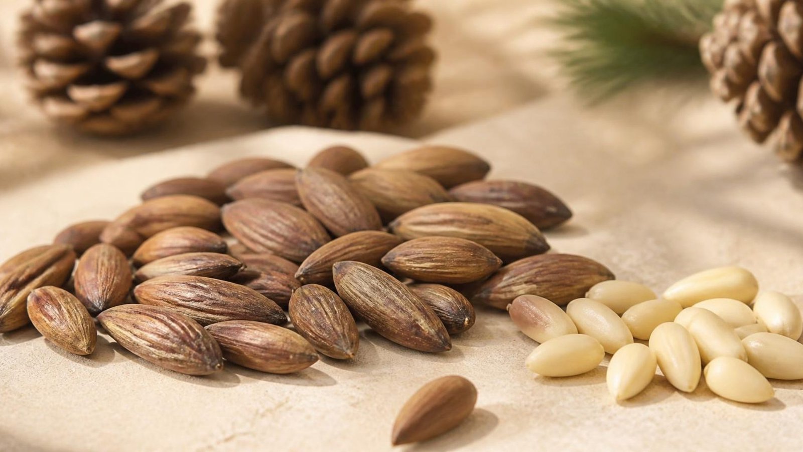 Chilgoza pine nuts with brown shells and peeled kernels